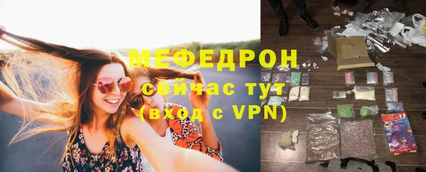 хмурый Пересвет