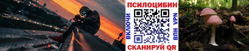 Псилоцибиновые грибы мицелий  купить  сайты  Красный Холм 